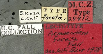 Media type: image;   Entomology 24412 Aspect: labels